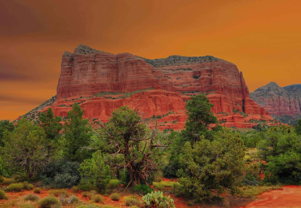 Discover Sedona's Wine Country: Best Seasons Revealed